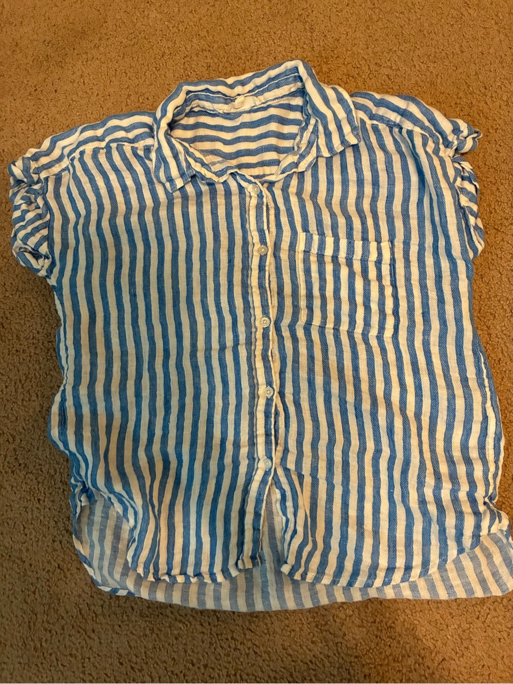 Blue Stripe Workshop Button Front Shirt
